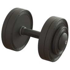 Гантель професійна 18 кг BruStyle TC126-18PL