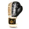 Боксерські рукавички DBX Bushido Undefeated 10oz — Valor Series