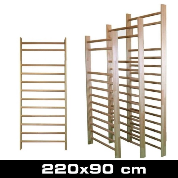 Гімнастична драбинка DBX BUSHIDO 220×90см, 12 щаблів