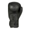 Боксерські рукавички DBX BUSHIDO Black Dragon Valor Series 10oz
