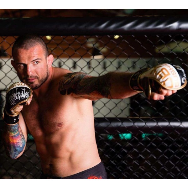 Рукавички MMA для спарингу DBX BUSHIDO Undefeated Valor Series L/XL