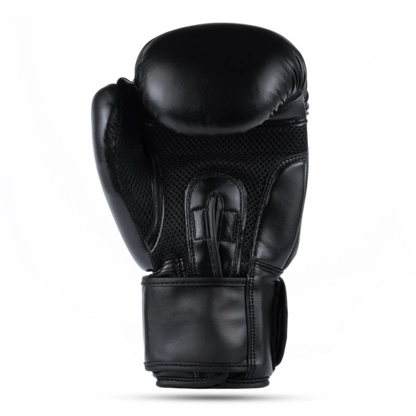 Боксерські рукавички DBX Bushido Classic Black 12oz, серія Origin