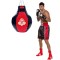 Боксерська груша XXL DBX Bushido SK25, 25кг