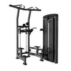 Гравитрон Stein LS2010 для підтягувань і віджимань