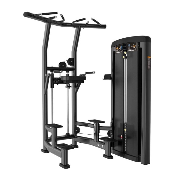 Гравитрон Stein LS2010 для підтягувань і віджимань