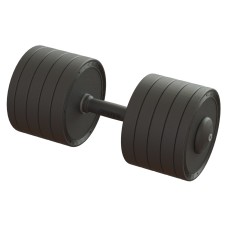 Гантель професійна 45кг BruStyle TC126-45PL