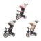 Триколісний велосипед Milly Mally Twinkle Grey
