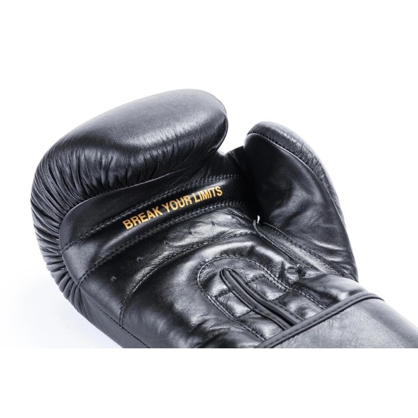 Боксерські рукавички DBX BUSHIDO Striker Legacy Series 12oz