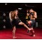 Рукавички MMA для спарингів DBX BUSHIDO Phantom Red Valor Series L/XL