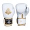 Боксерські рукавички DBX Bushido Spirit, серія Valor, 8oz