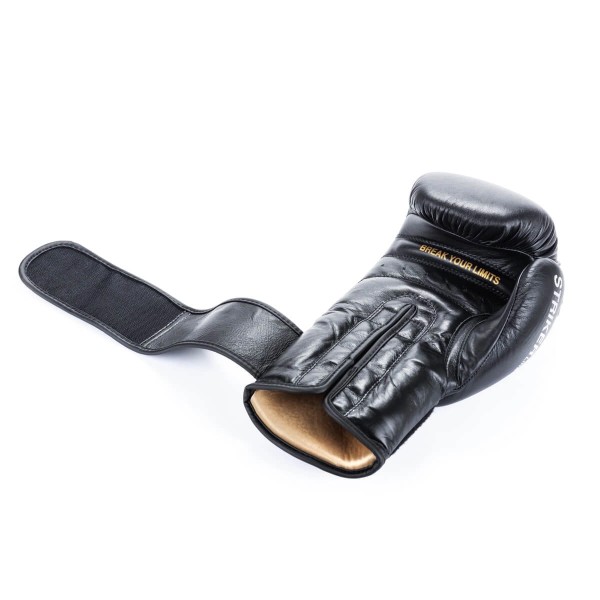 Боксерські рукавички DBX Bushido Striker Legacy Series 14oz