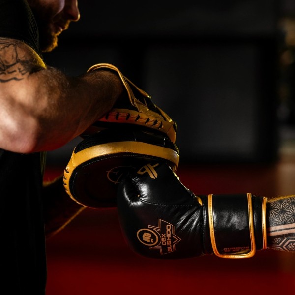 Боксерські рукавички DBX BUSHIDO ProFighter Gold Legacy Series, 6-шарові