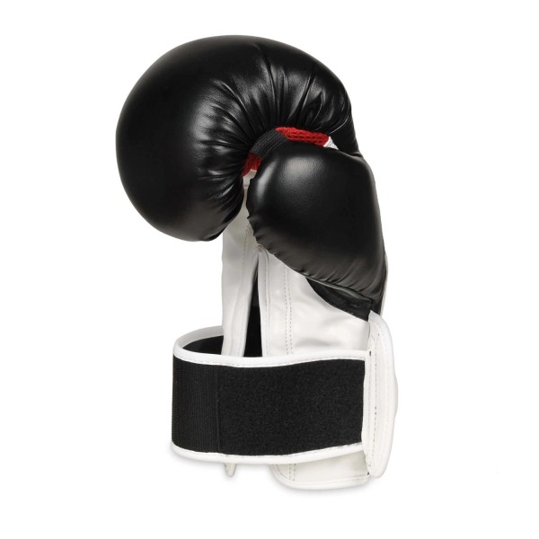 Боксерські рукавички DBX BUSHIDO Valor Series Phantom White 12oz