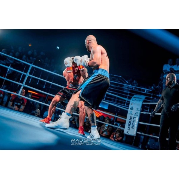 Боксерські рукавички DBX BUSHIDO Spirit 14oz, серія Valor
