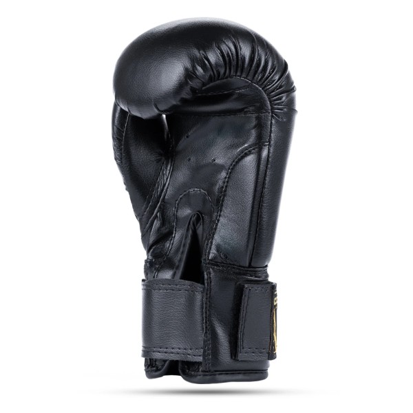 Боксерські рукавички DBX BUSHIDO 4Fighter Black 6oz чорно-золоті