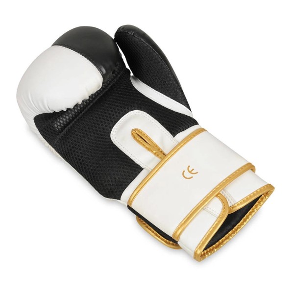 Боксерські рукавички DBX BUSHIDO Undefeated Valor Series 8oz