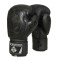 Рукавички для боксу DBX BUSHIDO Black Dragon Valor Series 14oz