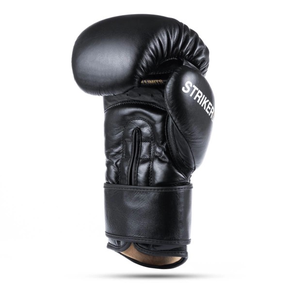 Боксерські рукавички DBX Bushido Striker Legacy Series 14oz