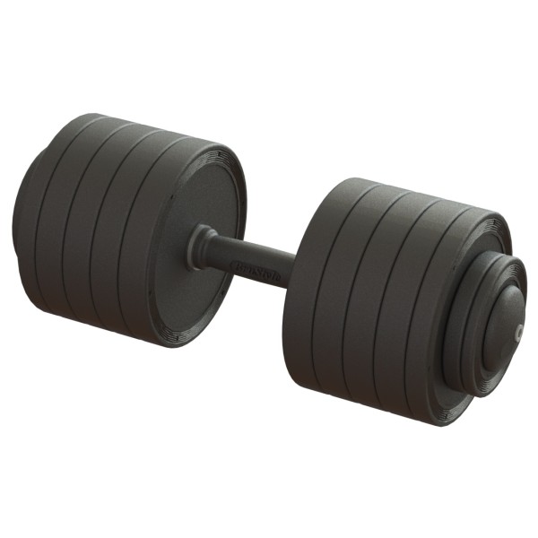 Гантель професійна 48 кг BruStyle TC126-48PL