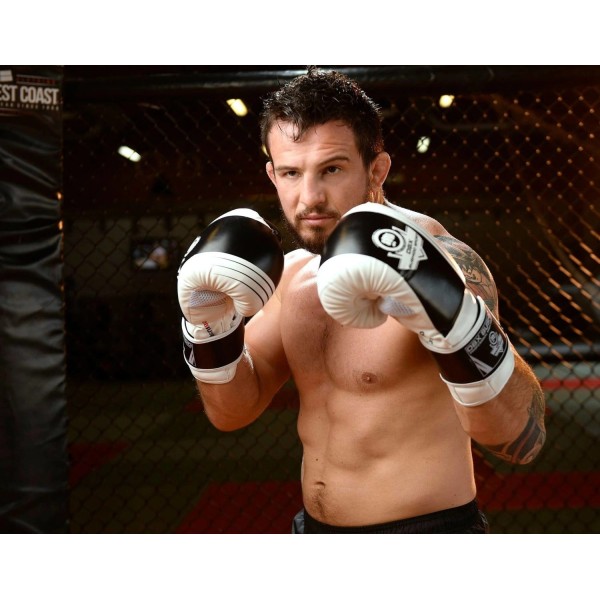 Боксерські рукавички DBX BUSHIDO Edge 10oz