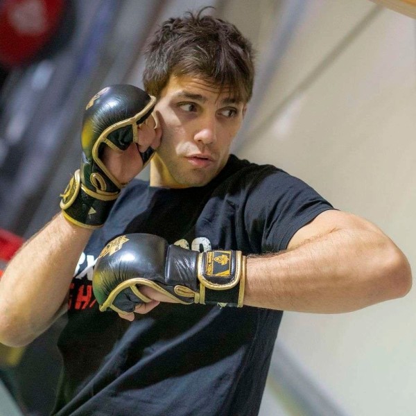 Рукавички MMA для спарингу DBX BUSHIDO Aureos Valor Series, розмір L
