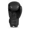 Боксерські рукавички DBX BUSHIDO Raptor 12oz, Origin Series, матово-чорні з глянцевим візерунком