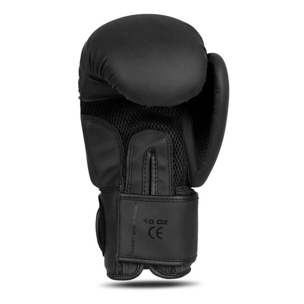 Боксерські рукавички DBX BUSHIDO Mono Valor Series 16oz