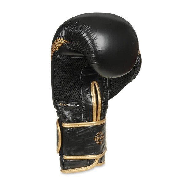 Рукавички для боксу DBX BUSHIDO Aureos Valor Series 10oz