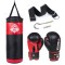 Дитячий боксерський набір DBX BUSHIDO Kids60, 60x25см, червоний