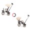Триколісний велосипед Milly Mally Twinkle Beige