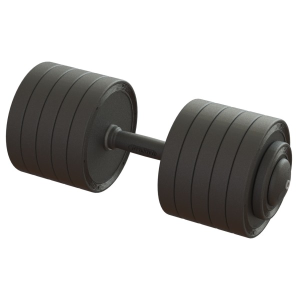 Гантель професійна 52 кг BruStyle TC126-52PL