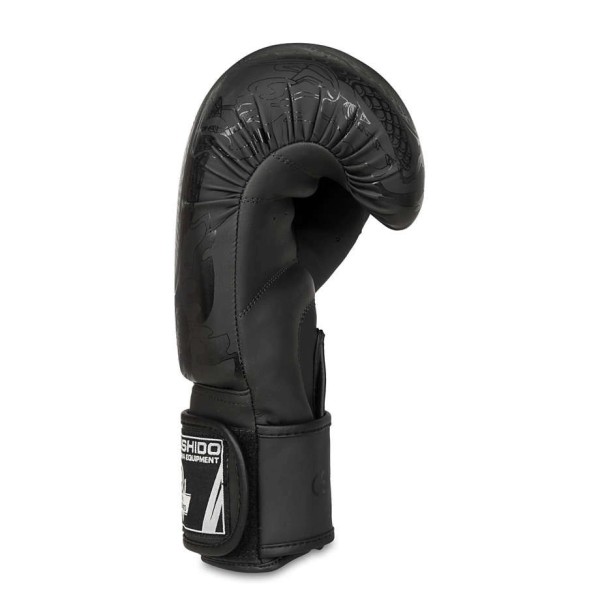 Боксерські рукавички DBX BUSHIDO Black Dragon Valor Series 10oz