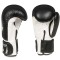 Рукавички для боксу DBX BUSHIDO Classic White Origin Series 16oz