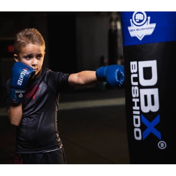 Боксерські рукавички DBX BUSHIDO 4Fighter Blue 6oz, сині