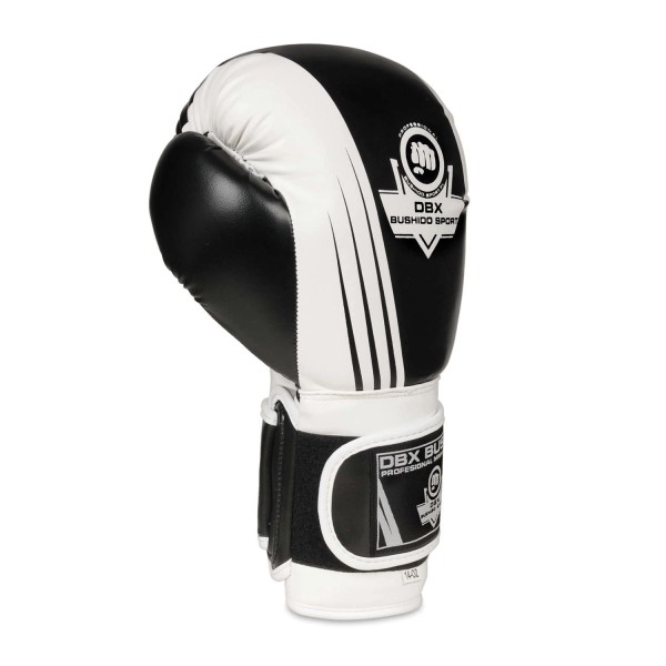 Боксерські рукавички DBX BUSHIDO Edge 10oz