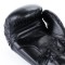 Боксерські рукавички DBX BUSHIDO 4Fighter Black 6oz чорно-золоті