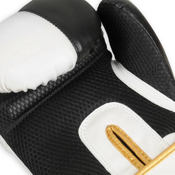 Боксерські рукавички DBX BUSHIDO Undefeated Valor Series 8oz
