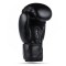 Боксерські рукавички DBX Bushido Classic Black 12oz, серія Origin