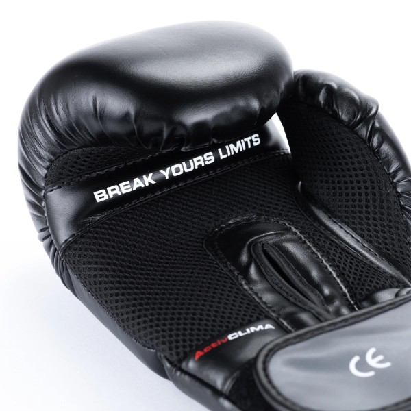 Боксерські рукавички DBX BUSHIDO Eclipse 14oz чорні