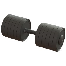 Гантель професійна 60 кг BruStyle TC126-60PL