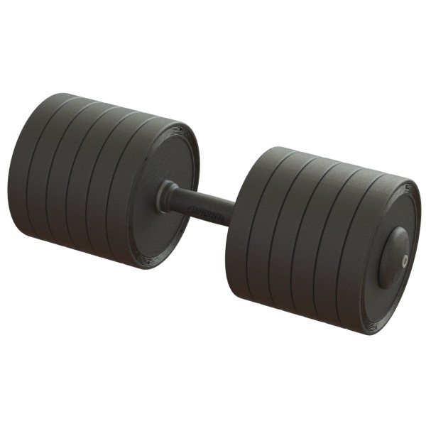 Гантель професійна 60 кг BruStyle TC126-60PL
