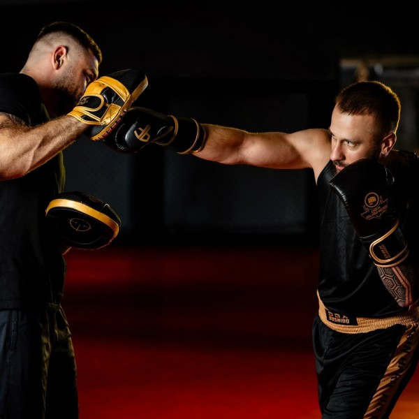Боксерські рукавички DBX BUSHIDO ProFighter Gold Legacy Series, 6-шарові