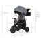 Триколісний велосипед Qplay Nova Deluxe Grey