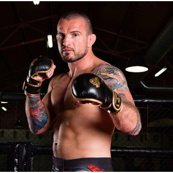 Рукавички MMA для спарингу DBX BUSHIDO Aureos Valor Series, розмір L
