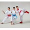Рукавички для карате MOOTO Mitts 2 RED WKF