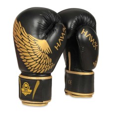 Боксерські рукавички DBX BUSHIDO HAWK Origin Series 12oz