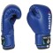 Боксерські рукавички DBX BUSHIDO 4Fighter Blue 6oz, сині