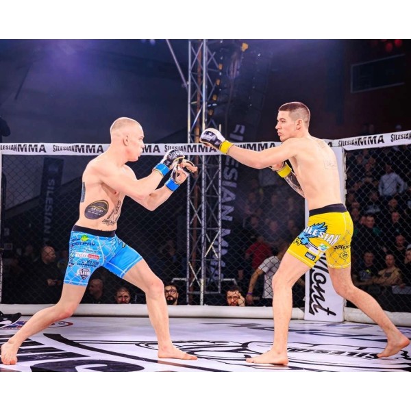 Рукавички MMA для спарингів DBX BUSHIDO Undefeated - Valor Series S/M