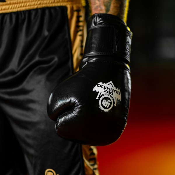 Рукавички боксерські DBX BUSHIDO ProFight Legacy Series 10oz