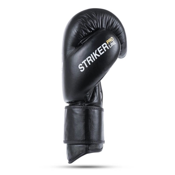 Боксерські рукавички DBX BUSHIDO Striker Legacy Series 16oz